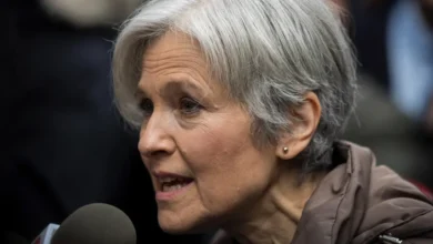 jill stein net worth