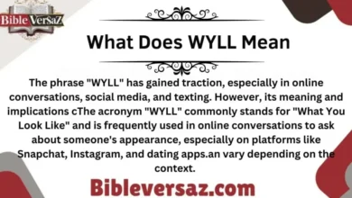 wyll meaning